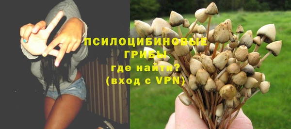экстази Гусиноозёрск