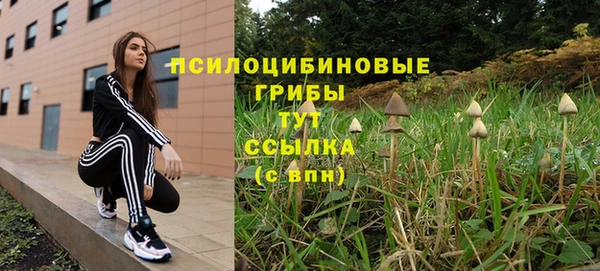гашиш Гусев