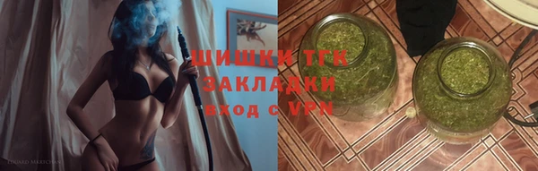 мдпв Гусь-Хрустальный