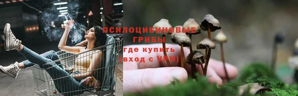 мдпв Гусь-Хрустальный