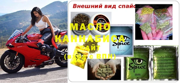 мдпв Гусь-Хрустальный