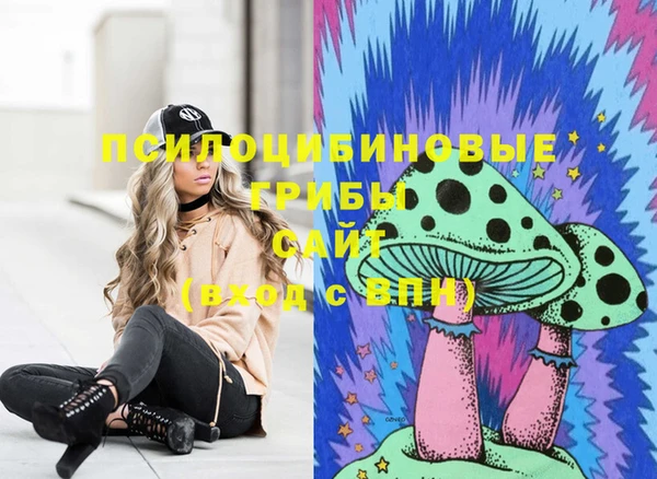 мдпв Гусь-Хрустальный