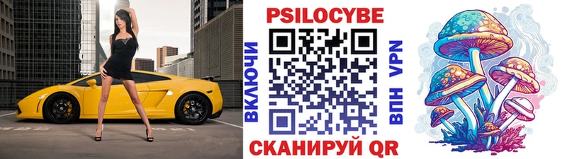 Псилоцибиновые грибы GOLDEN TEACHER Гусев