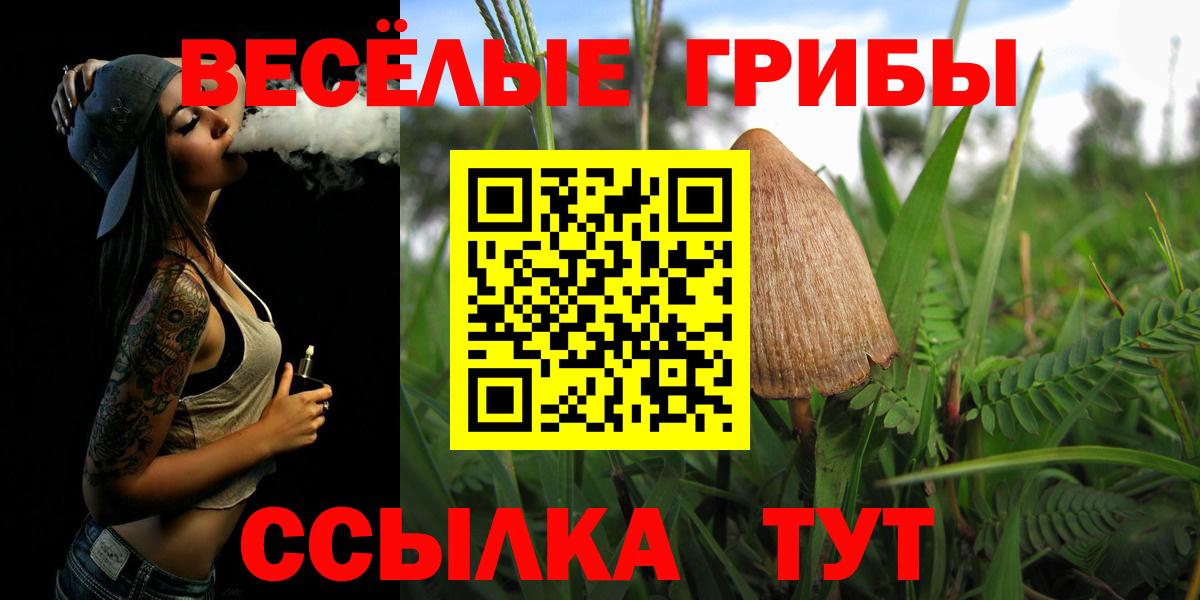 закладки  Псилоцибиновые грибы Psilocybe  Гусев  Вход с VPN  Псилоцибиновые грибы прущие грибы 