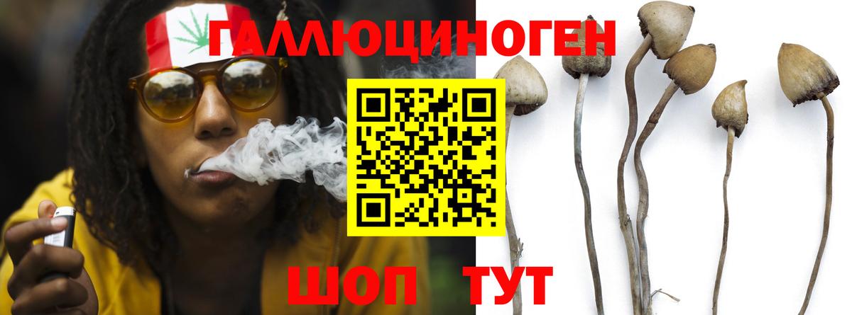 Псилоцибиновые грибы мухоморы Гусев