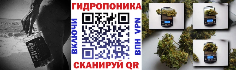 Бошки Шишки тримм  Гусев 